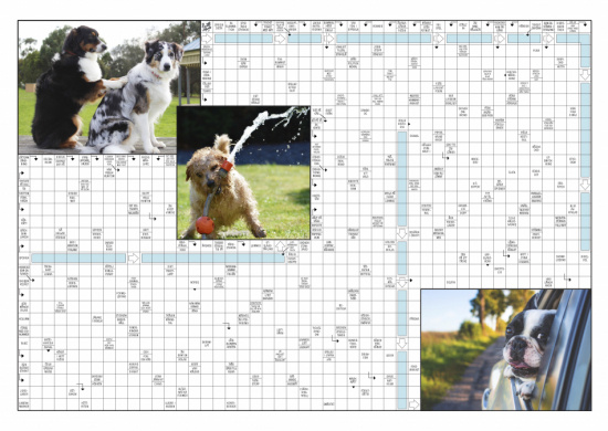 Korsordsposter hundar 1